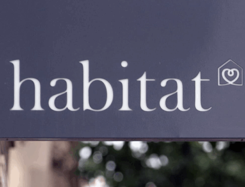 Habitat, chronique d’une renaissance retail